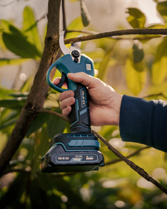 Effortless pruning
